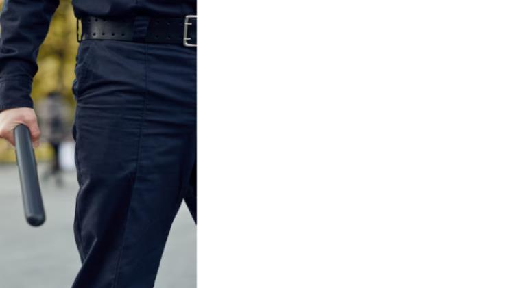 Police Baton Taser Non Lethal Weapon For Law Enforcement3