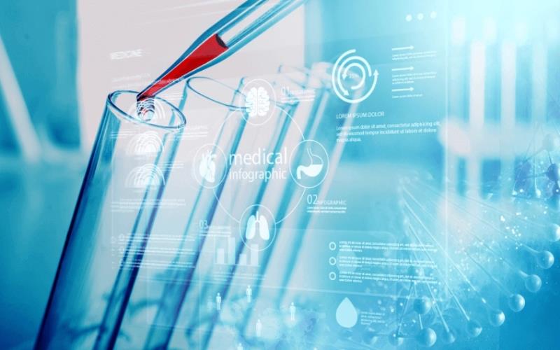 What are the Major DMPK Services of WuXi Appte