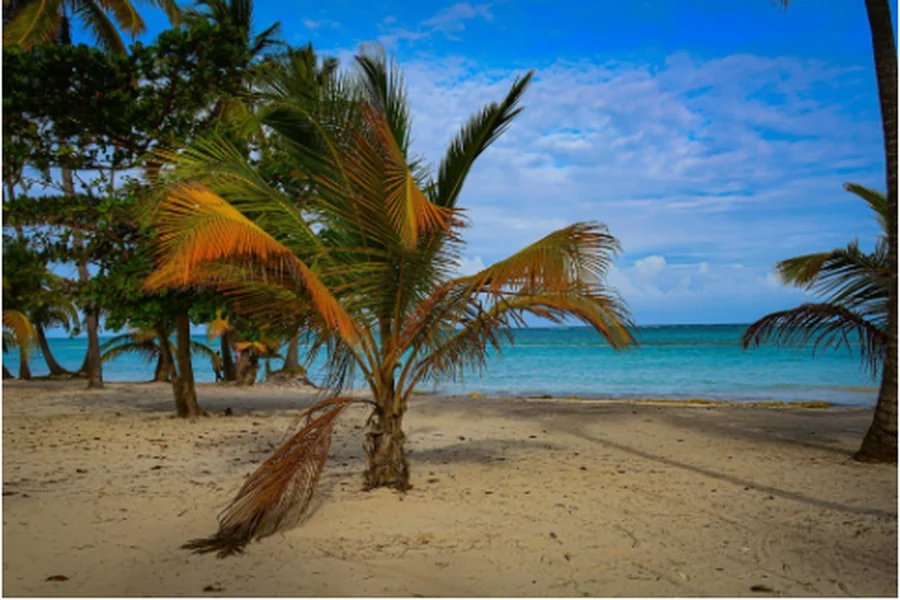 Punta Cana